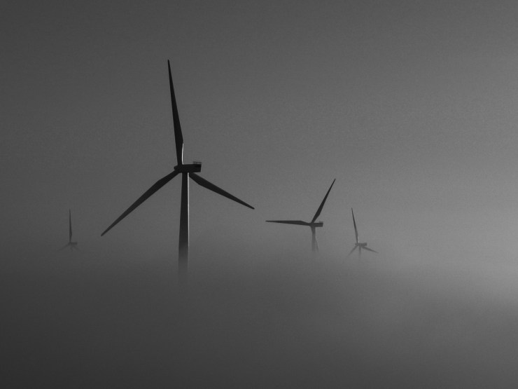 Advection fog in a windfarm