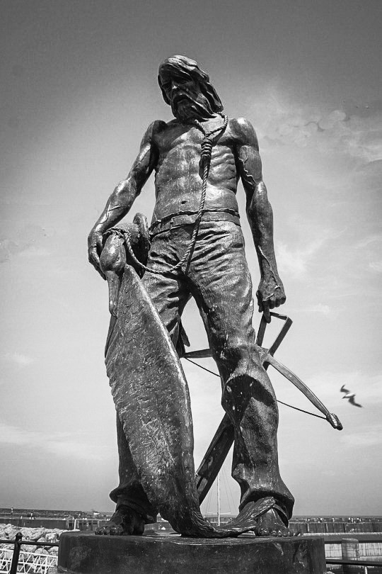 The Rime of the Ancient Mariner has been given a trigger warning by academics at the university of Greenwich for depicting the death of an albatross. Samuel Taylor Coleridge’s 1798 masterpiece, detailing the adventures of a sailor, who shot an albatross with a crossbow, bringing death and disaster to his ship and crew, has been deemed potentially upsetting for students at the University of Greenwich.  The poem, now requires a content warning for depicting “animal death”, according to academics at the London university’s English department.