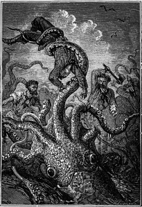 Hundreds of years ago, sailors were terrified by the Kraken, a dreadful sea monster capable of sinking ships and with a taste for human flesh. Today we know the legends of this monster were based on sightings of giant squids. Despite its enormous size (up to 18m), the giant squid is astoundingly elusive and much of its biology remains unknown. 