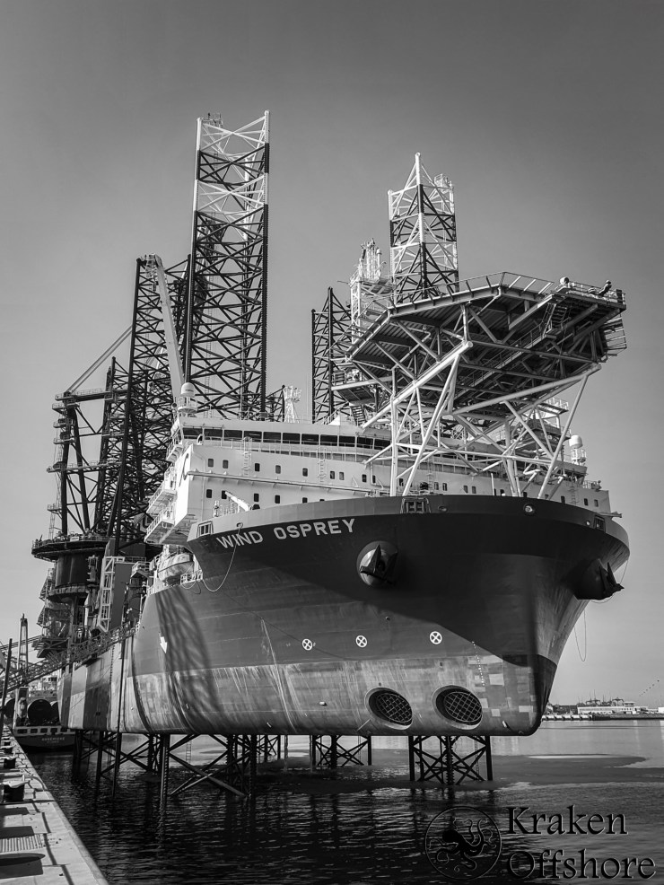 Why does insurance want a suitability survey done on a vessel before its chartered?